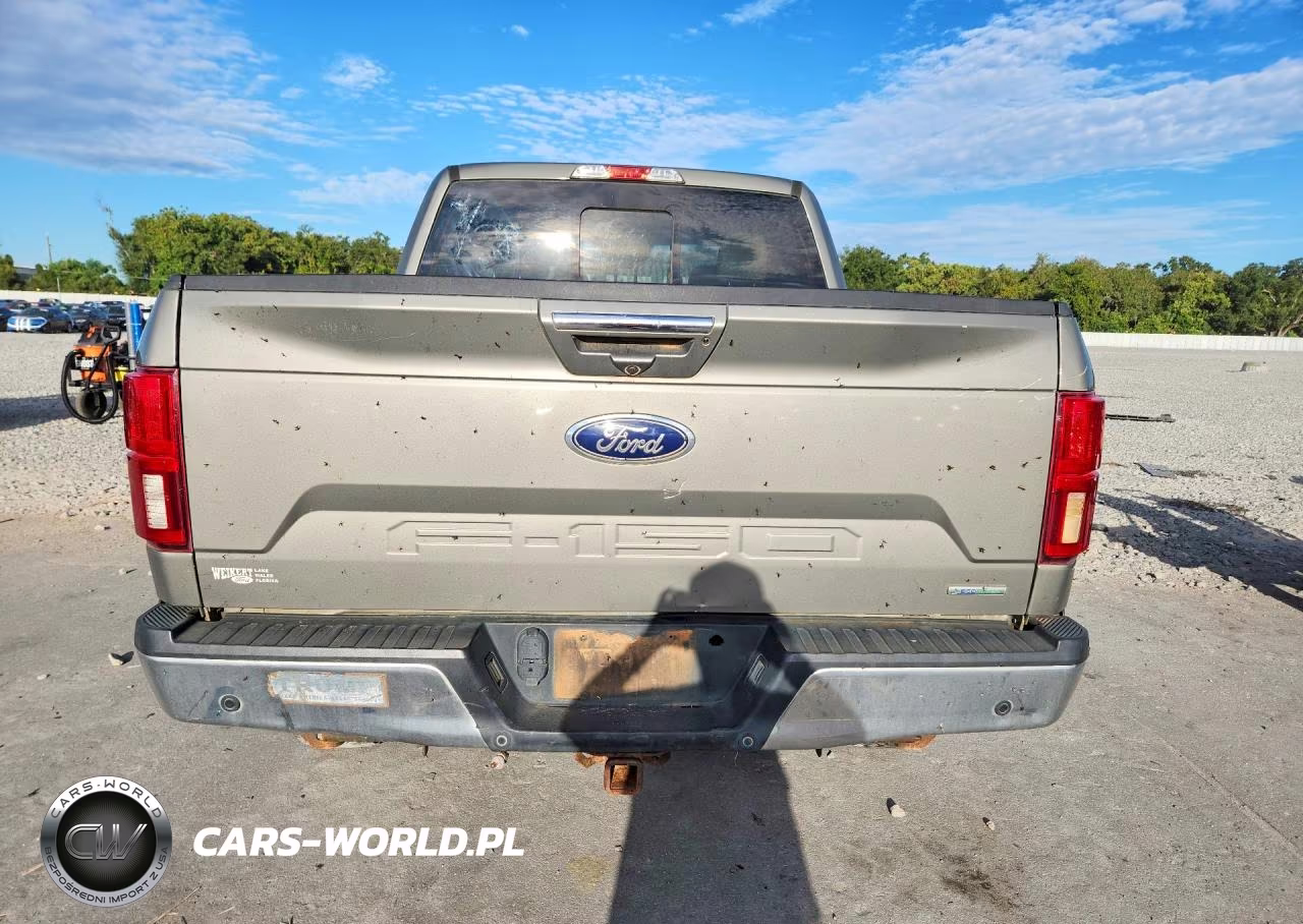 2020 Ford F150 VIN:1FTEW1E49LKD64531 - 6