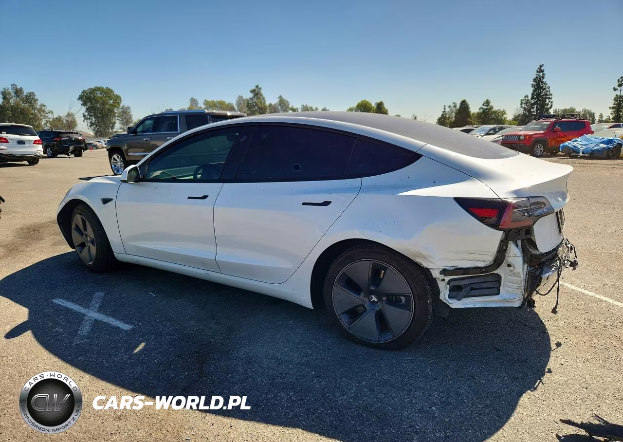 2022 Tesla Model 3 VIN:5YJ3E1EB0NF195511 - 2