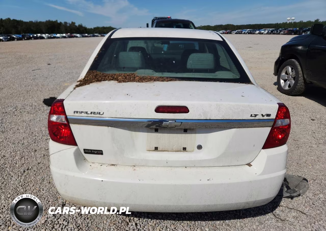 2008 Chevrolet Malibu Lt VIN:1G1ZT58N48F137178 - 6
