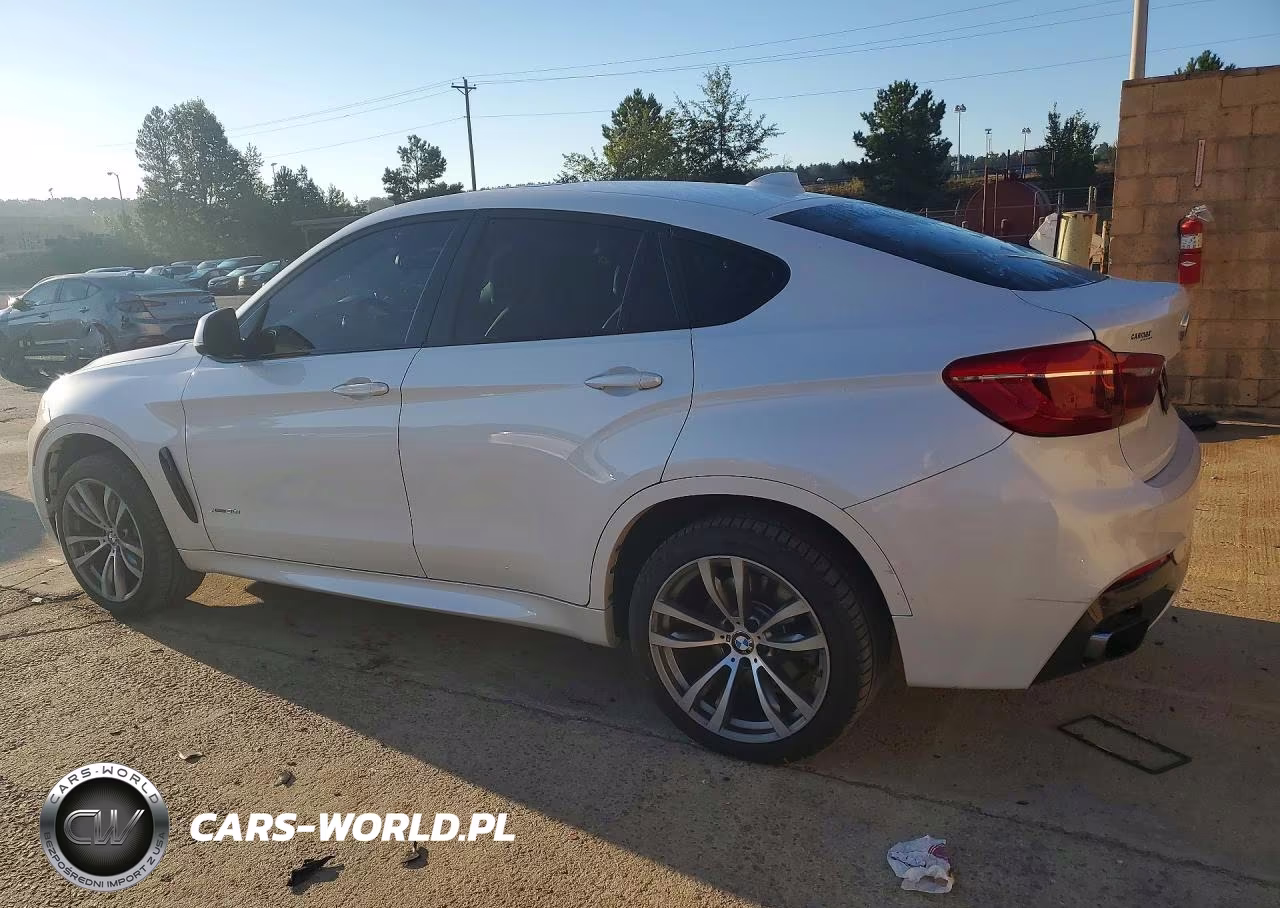 2018 BMW X6 xDrive50I VIN:5UXKU6C5XJ0Z66556 - 2