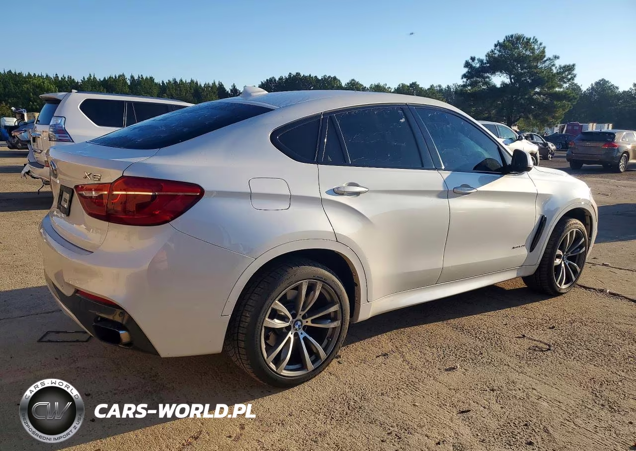 2018 BMW X6 xDrive50I VIN:5UXKU6C5XJ0Z66556 - 3