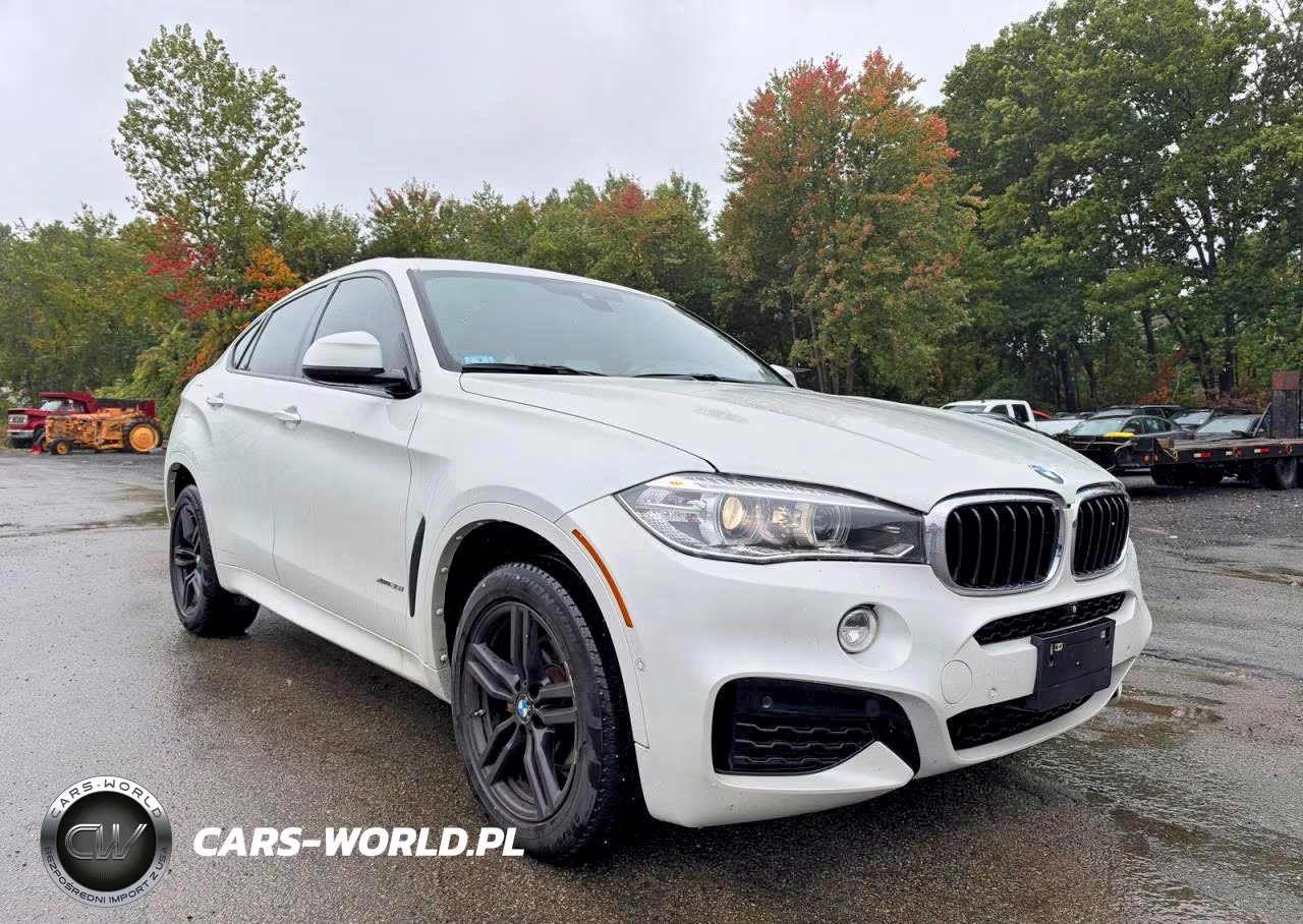 2019 BMW X6 xDrive35I VIN:5UXKU2C52K0Z64536 - 1