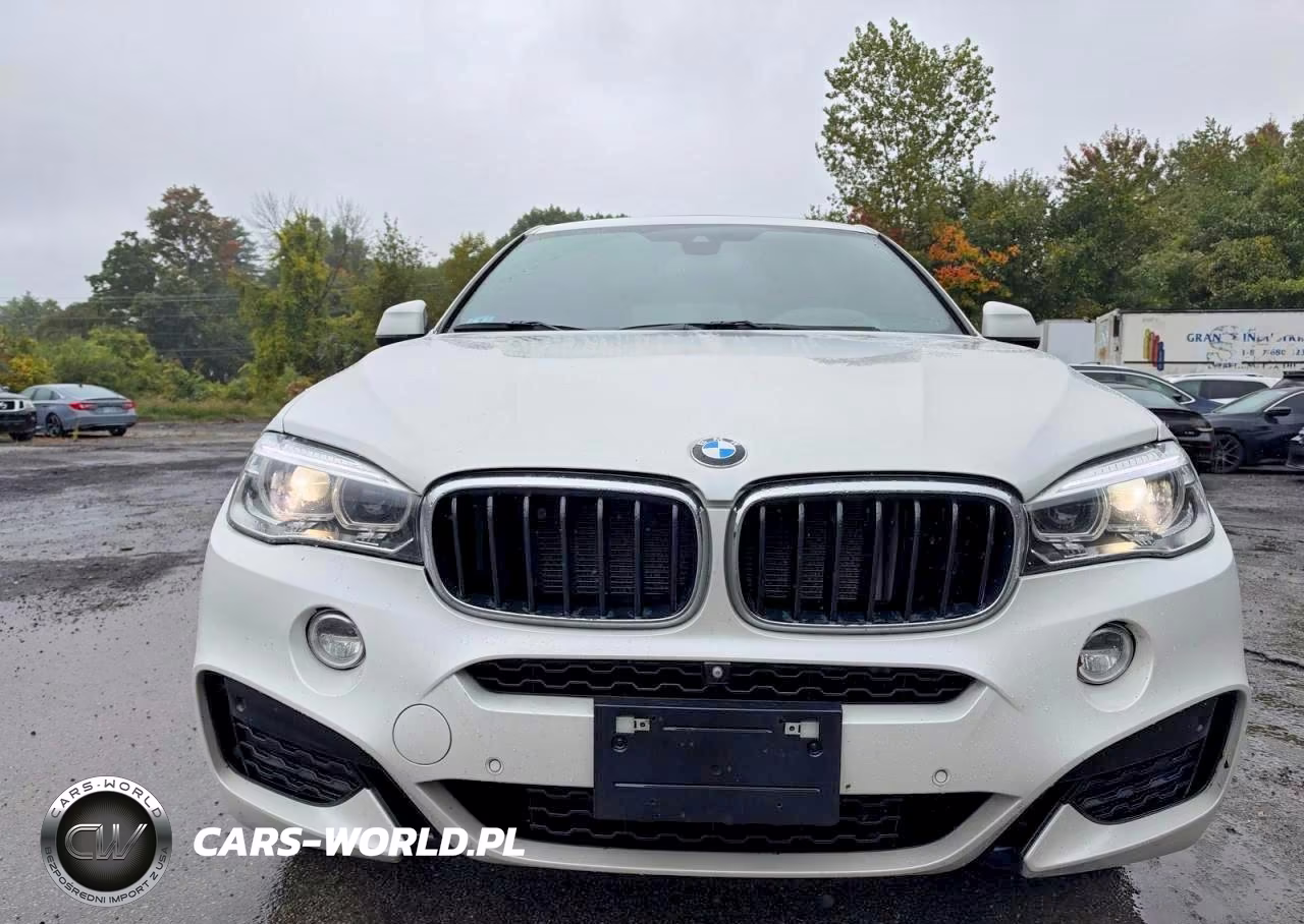 2019 BMW X6 xDrive35I VIN:5UXKU2C52K0Z64536 - 14