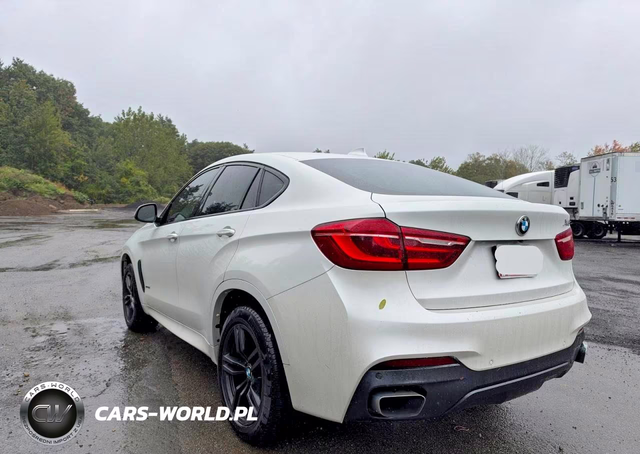 2019 BMW X6 xDrive35I VIN:5UXKU2C52K0Z64536 - 3