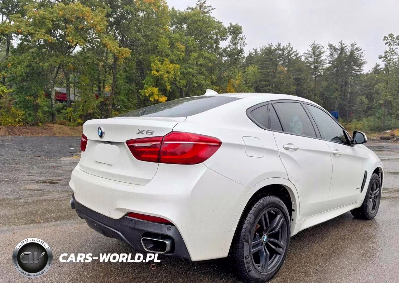 2019 BMW X6 xDrive35I VIN:5UXKU2C52K0Z64536 - 4
