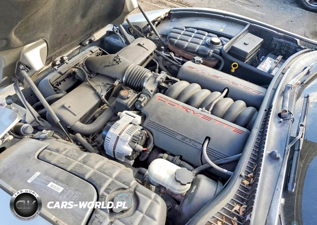 1999 Chevrolet Corvette VIN:1G1YY22GXX5122307 - 11