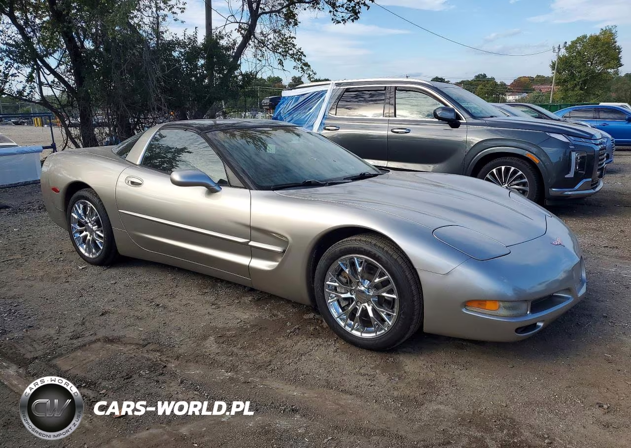 1999 Chevrolet Corvette VIN:1G1YY22GXX5122307 - 4