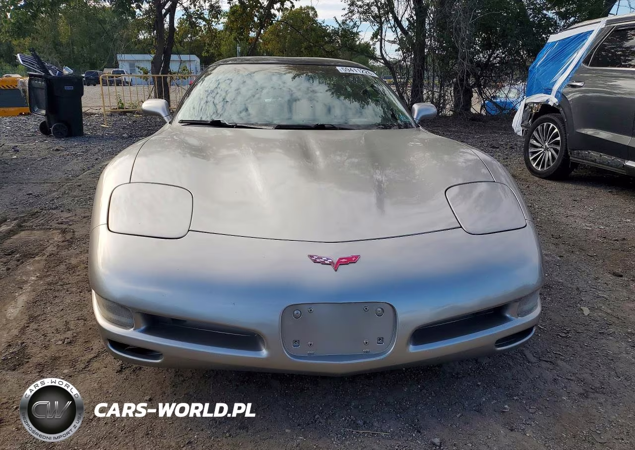 1999 Chevrolet Corvette VIN:1G1YY22GXX5122307 - 5