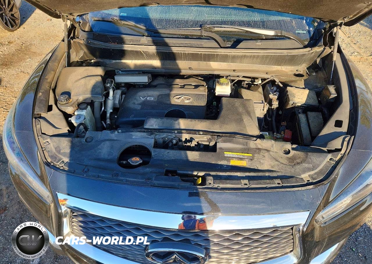 2019 Infiniti Qx60 Luxe VIN:5N1DL0MM9KC506087 - 12