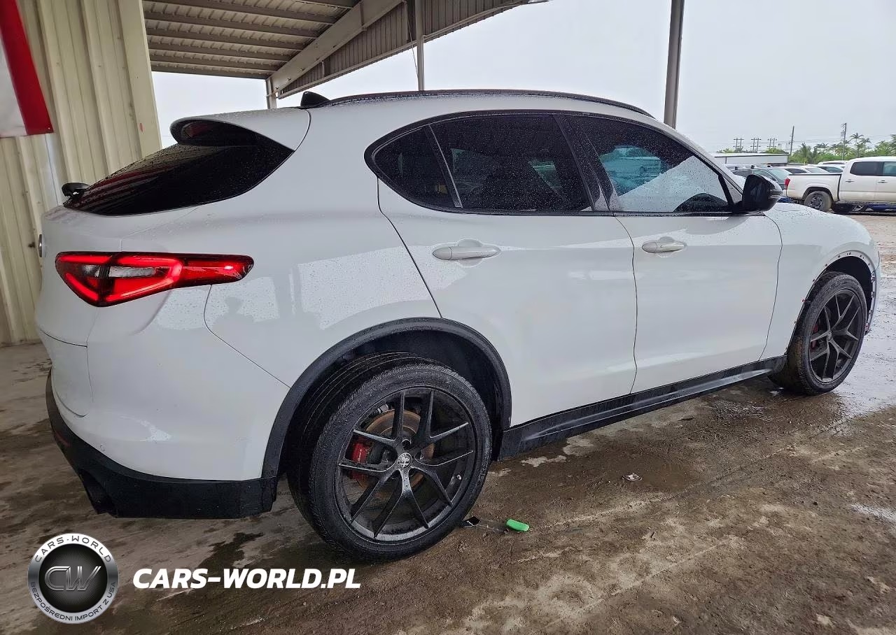 2019 Alfa Romeo Stelvio Ti VIN:ZASPAKBN3K7C50138 - 3