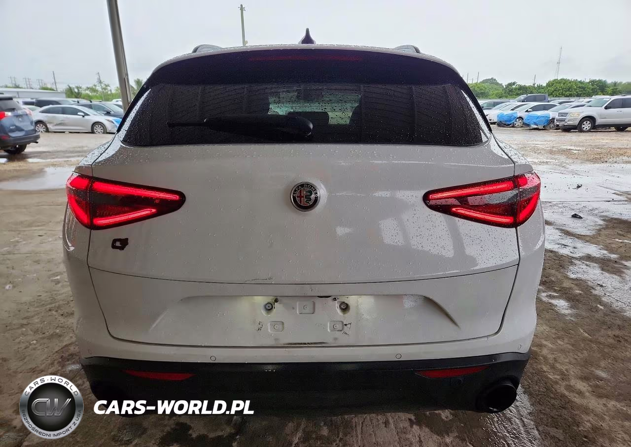 2019 Alfa Romeo Stelvio Ti VIN:ZASPAKBN3K7C50138 - 6