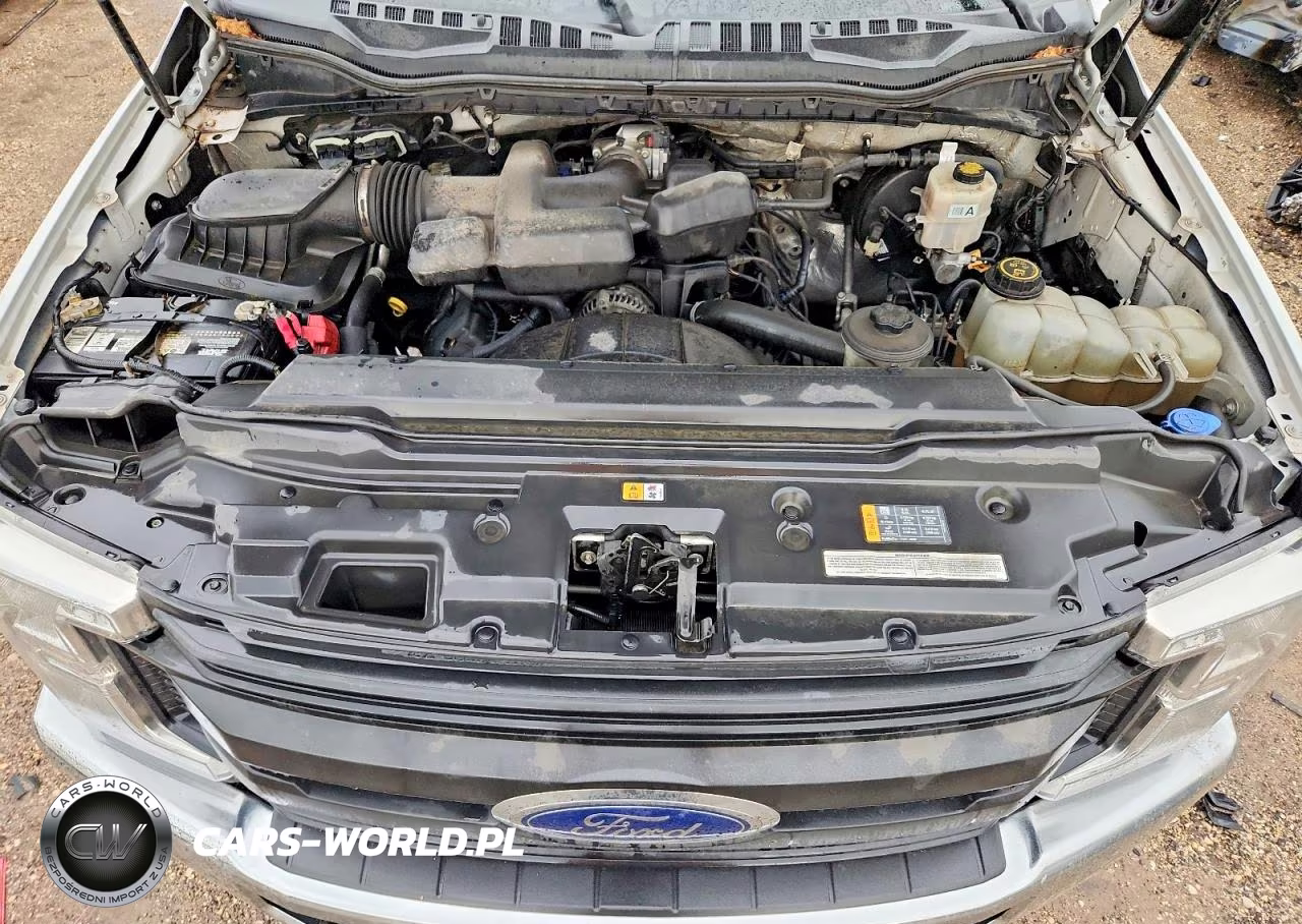 2019 Ford F250 Xl VIN:1FTBF2A67KED56215 - 11