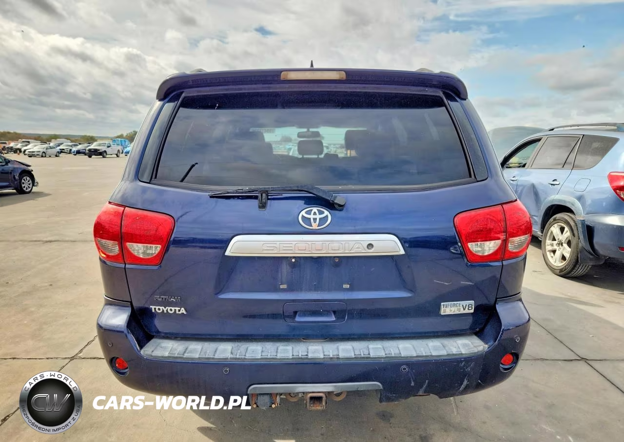 2010 Toyota Sequoia Limited VIN:5TDJY5G16AS029946 - 6