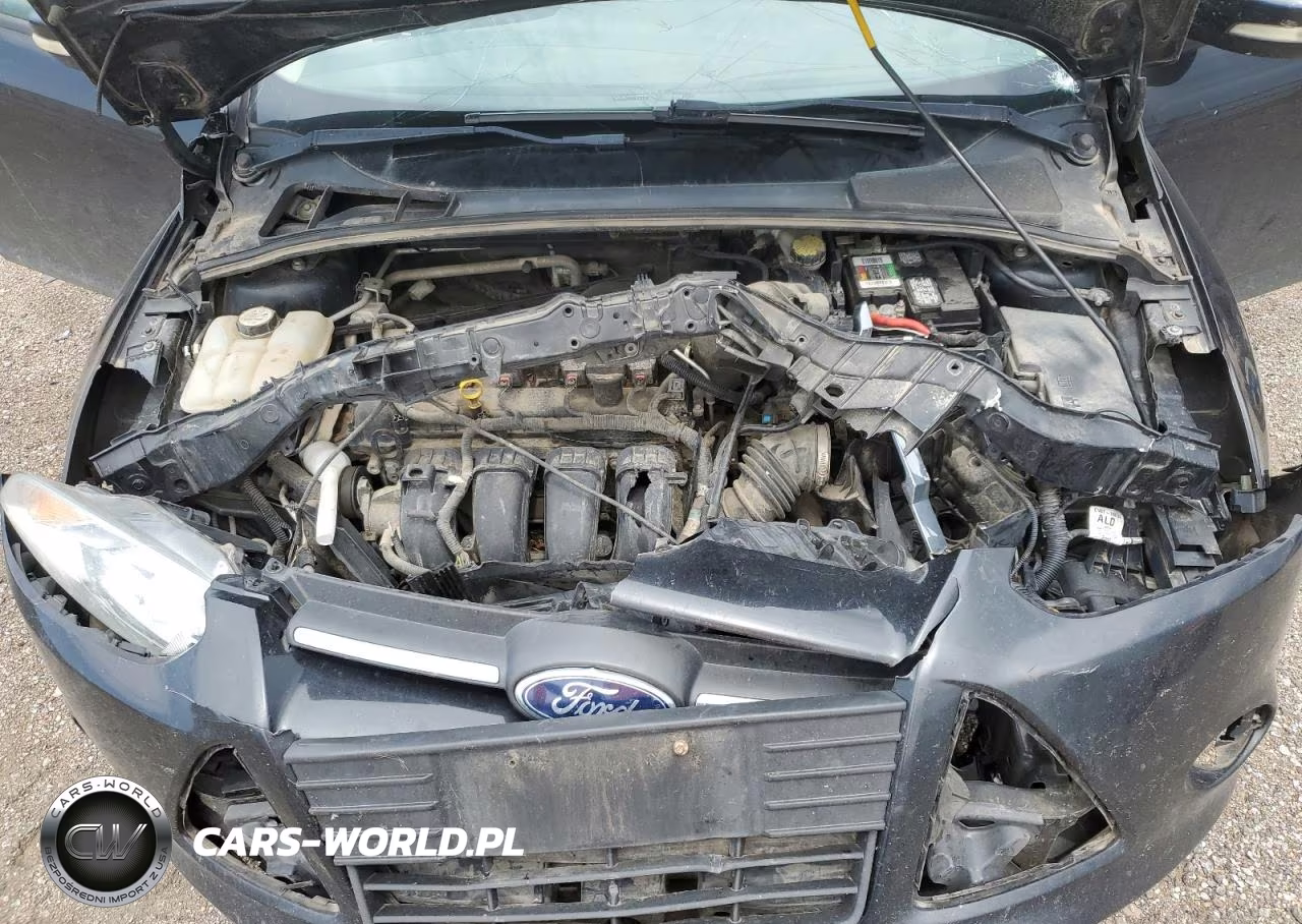 2013 Ford Focus Se VIN:1FADP3K21DL123801 - 11