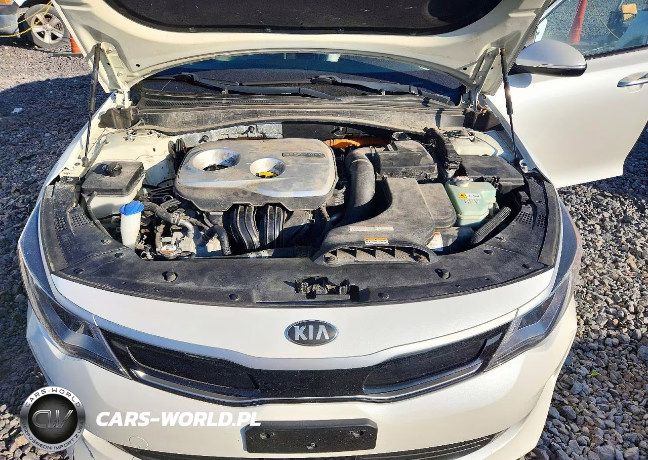 2017 Kia Optima Hybrid Ex VIN:KNAGU4LE2H5013622 - 11