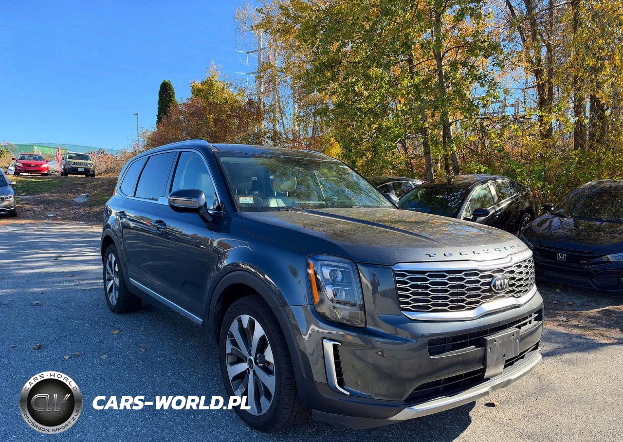 2021 Kia Telluride Ex VIN:5XYP3DHC1MG171464 - 1