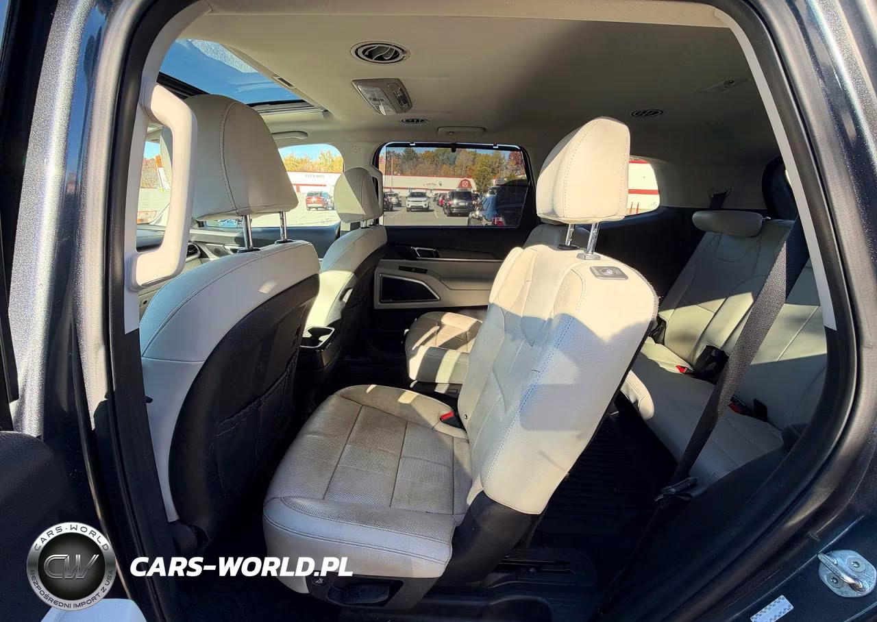 2021 Kia Telluride Ex VIN:5XYP3DHC1MG171464 - 11