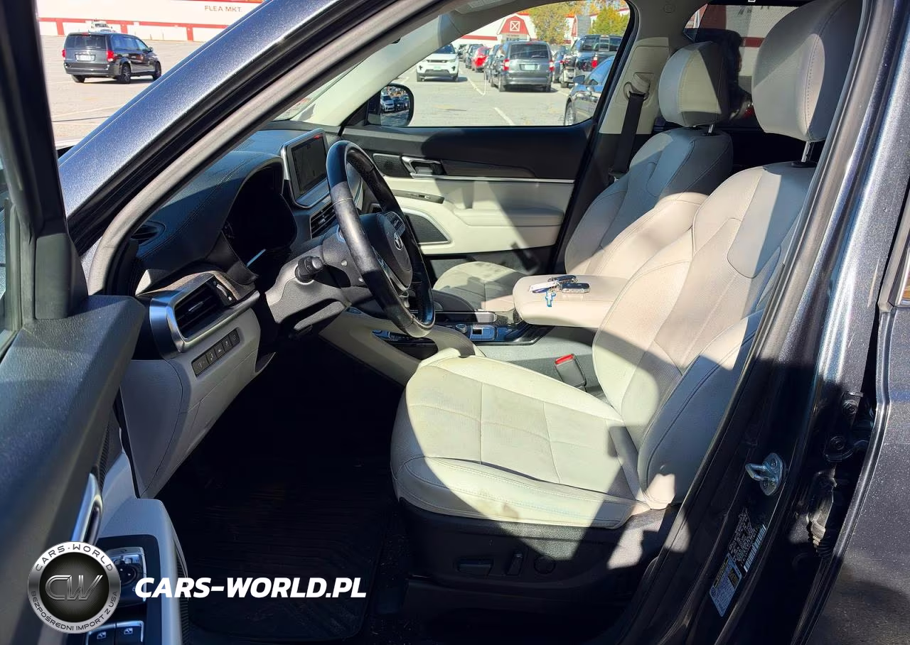 2021 Kia Telluride Ex VIN:5XYP3DHC1MG171464 - 12