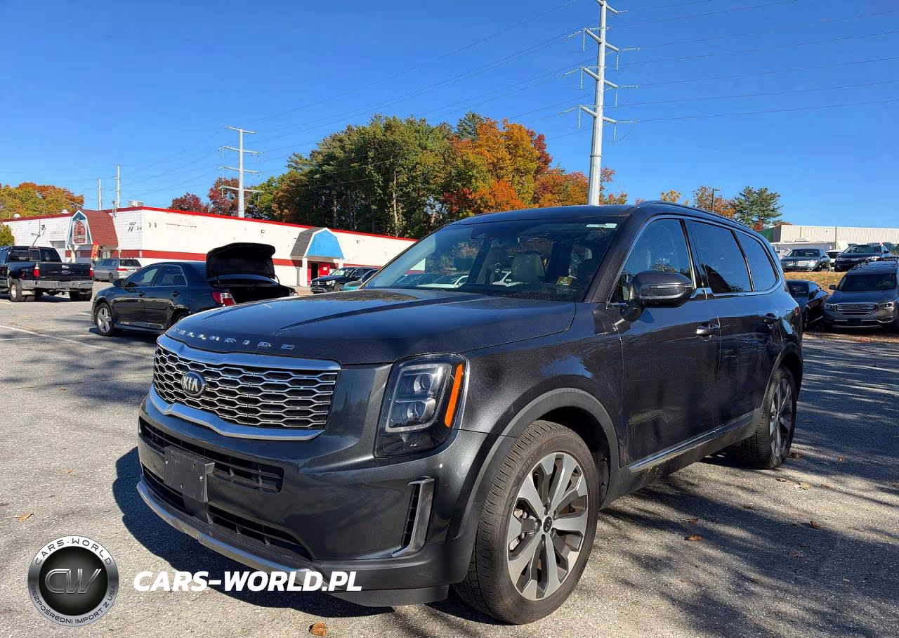 2021 Kia Telluride Ex VIN:5XYP3DHC1MG171464 - 2