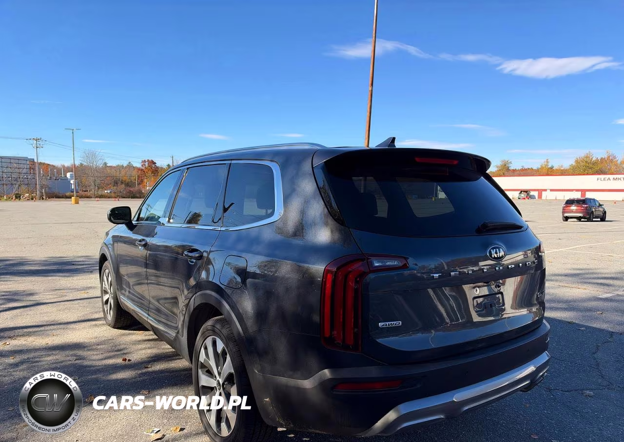 2021 Kia Telluride Ex VIN:5XYP3DHC1MG171464 - 3