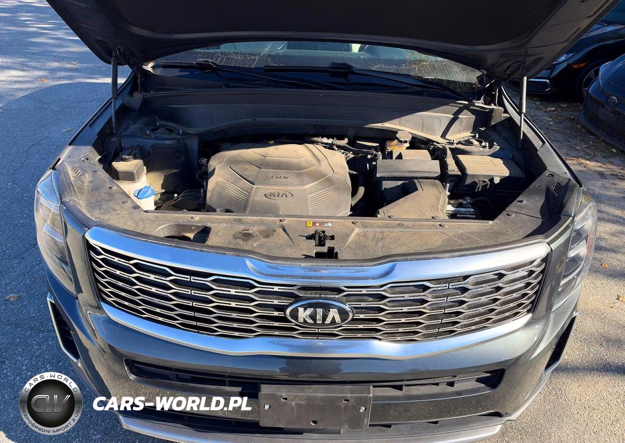 2021 Kia Telluride Ex VIN:5XYP3DHC1MG171464 - 7