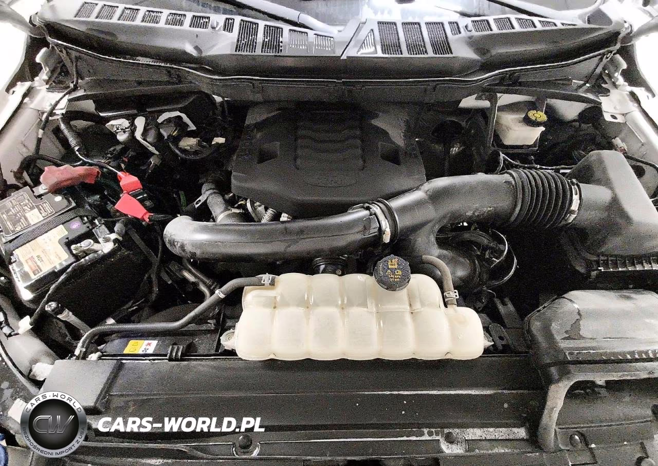2023 Ford F150 Super Cab VIN:1FTFX1E84PKE03584 - 11
