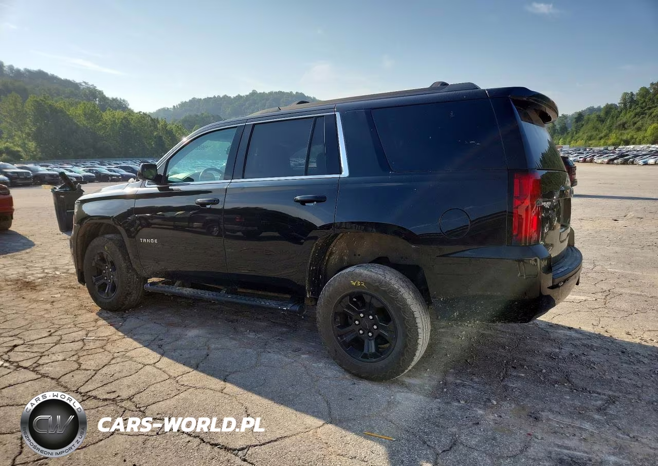 2020 Chevrolet Tahoe K1500 Ls VIN:1GNSKAKC7LR172047 - 2