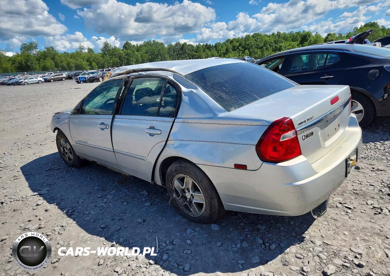 2005 Chevrolet Malibu Ls VIN:1G1ZT54825F173379 - 2