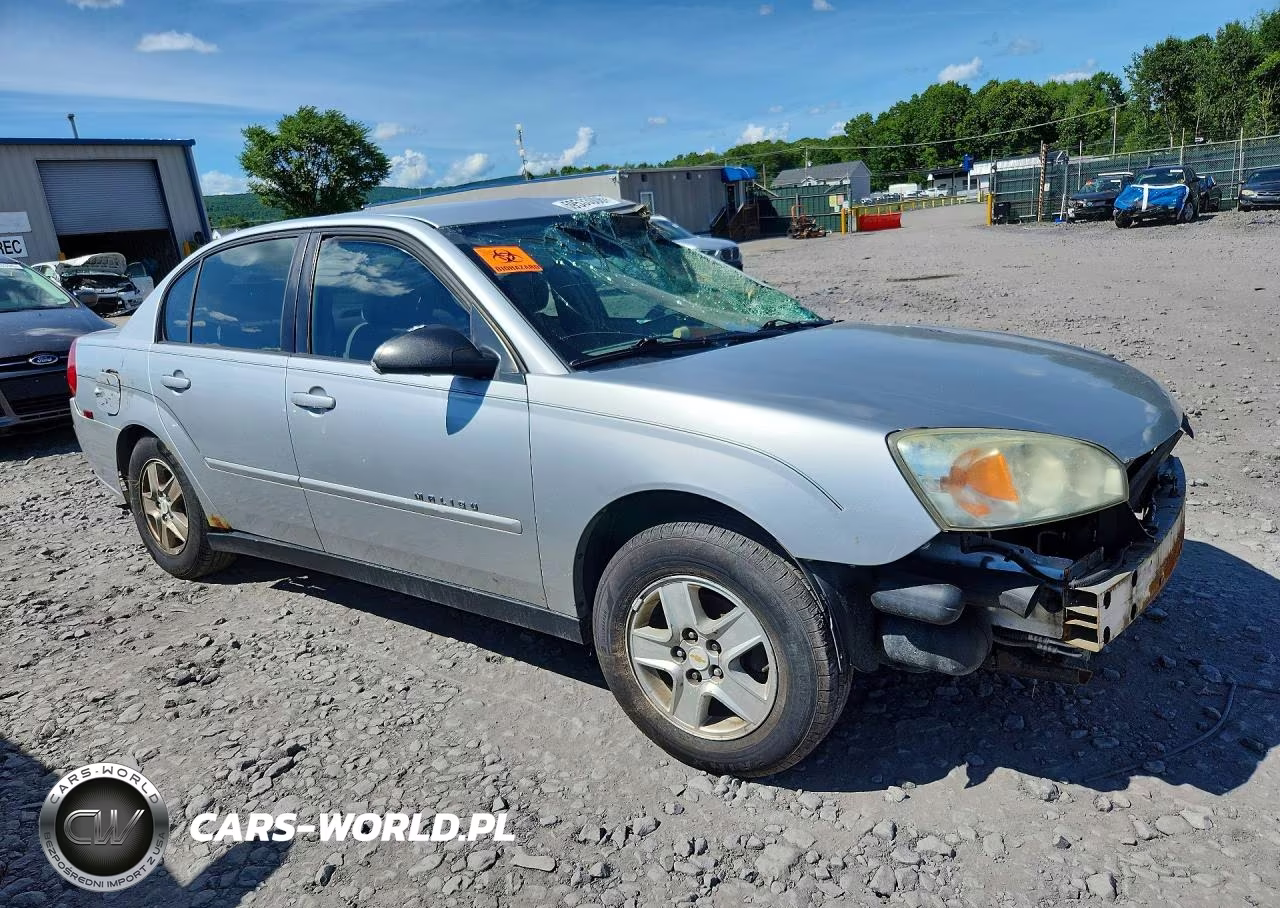 2005 Chevrolet Malibu Ls VIN:1G1ZT54825F173379 - 4