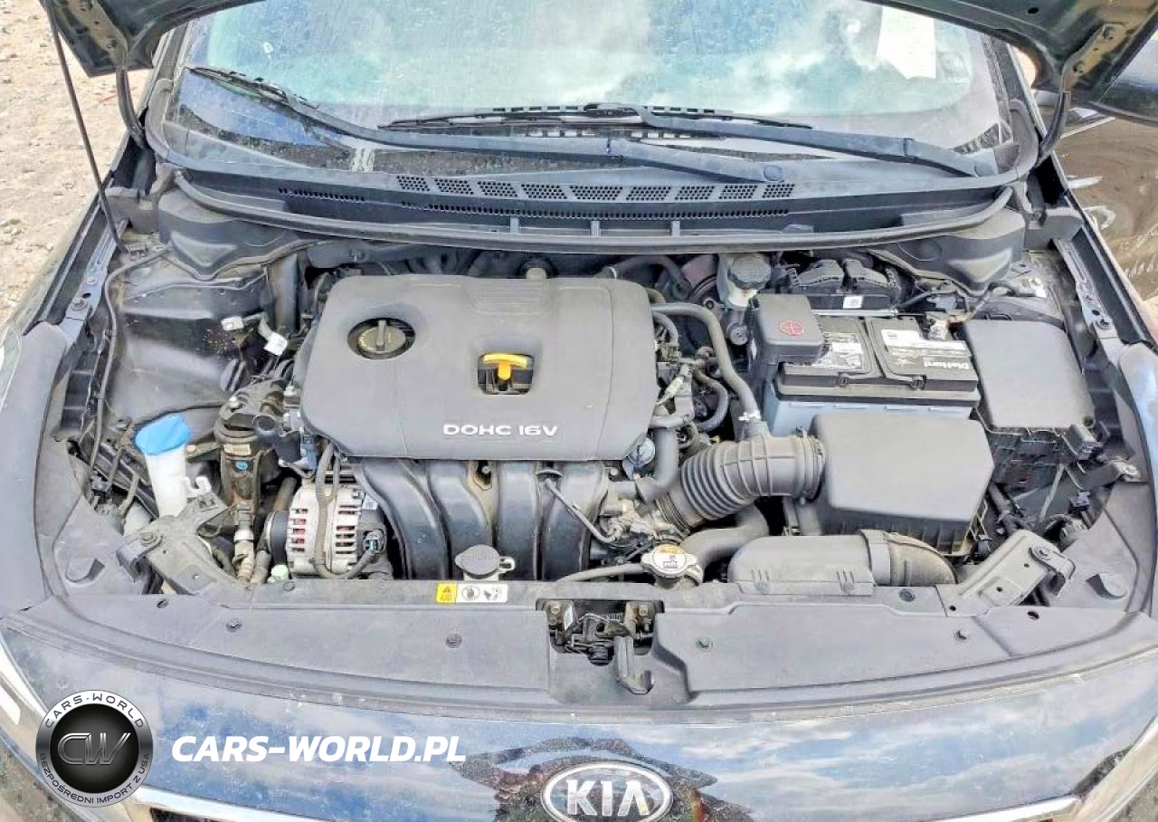 2017 Kia Forte Lx VIN:3KPFK4A77HE040828 - 11