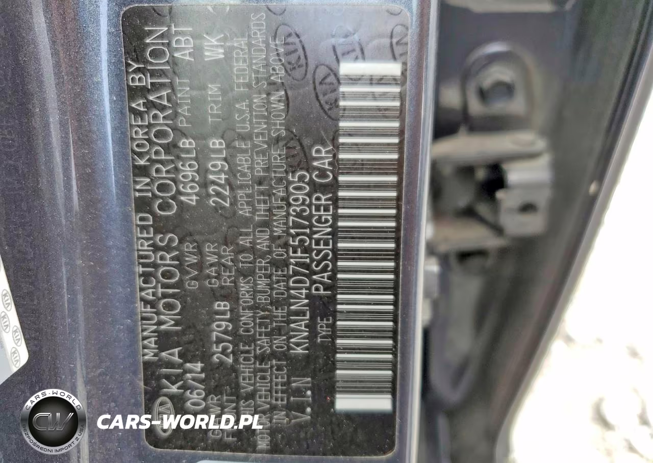 2015 Kia Cadenza Premium VIN:KNALN4D71F5173905 - 12