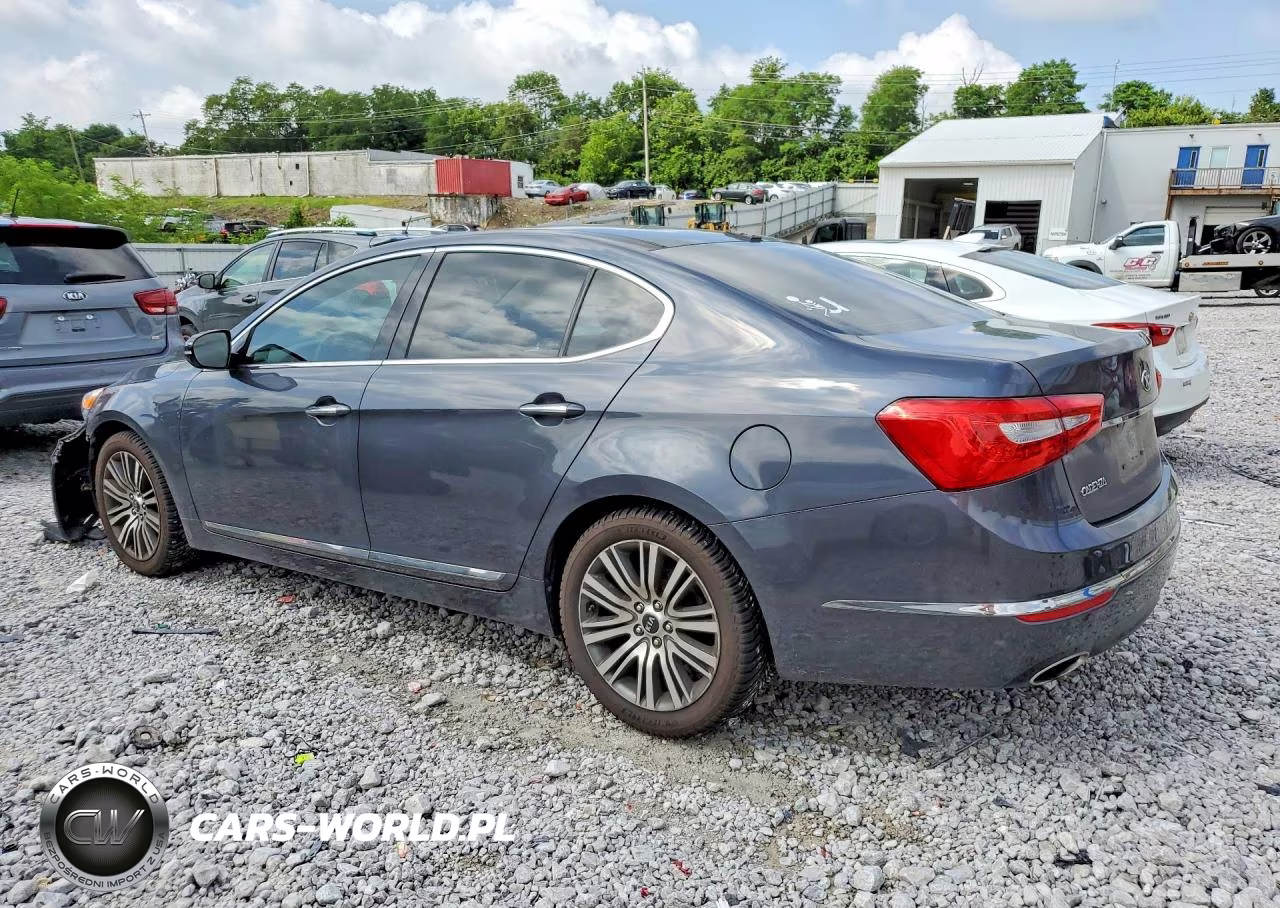 2015 Kia Cadenza Premium VIN:KNALN4D71F5173905 - 2