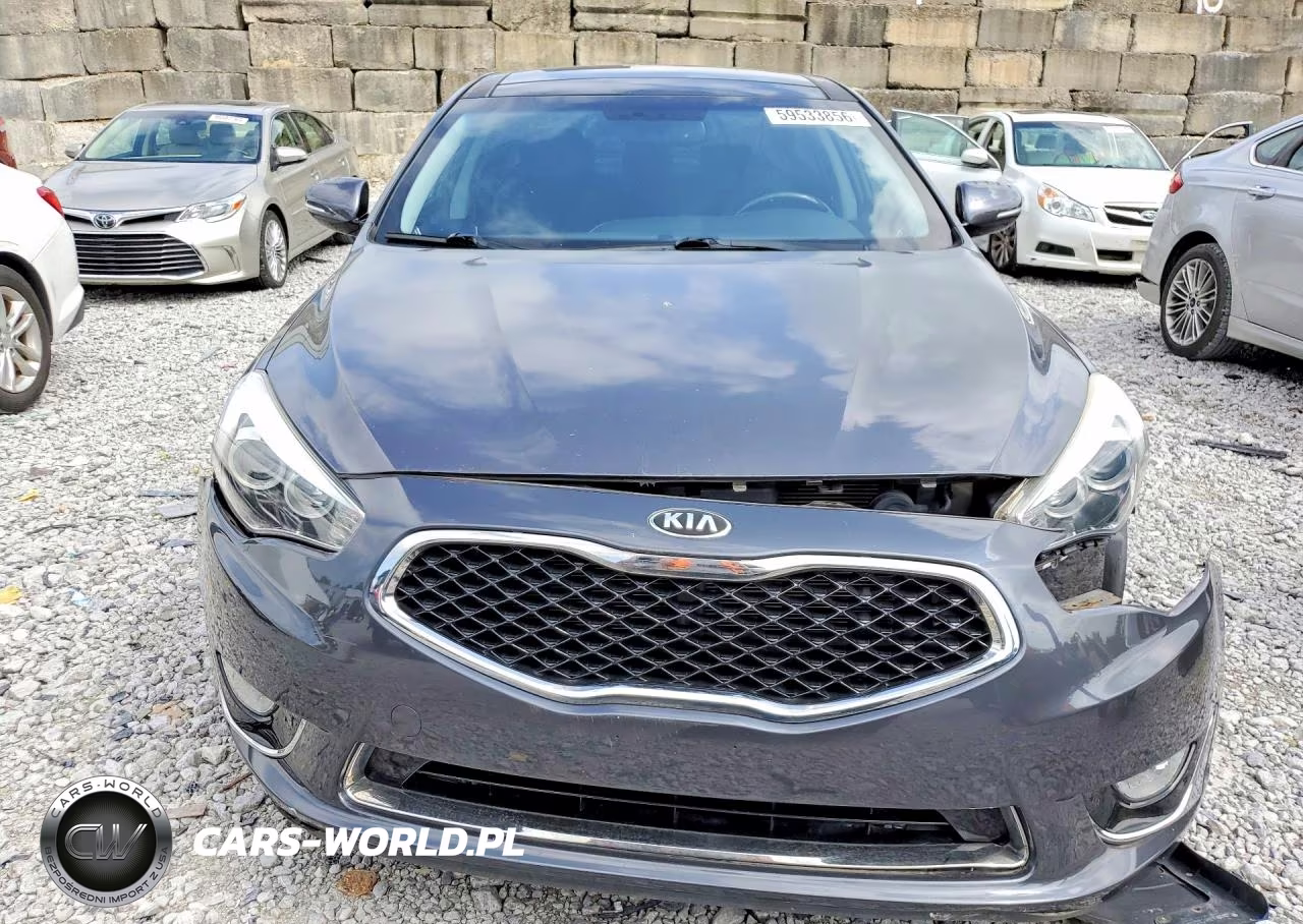 2015 Kia Cadenza Premium VIN:KNALN4D71F5173905 - 5