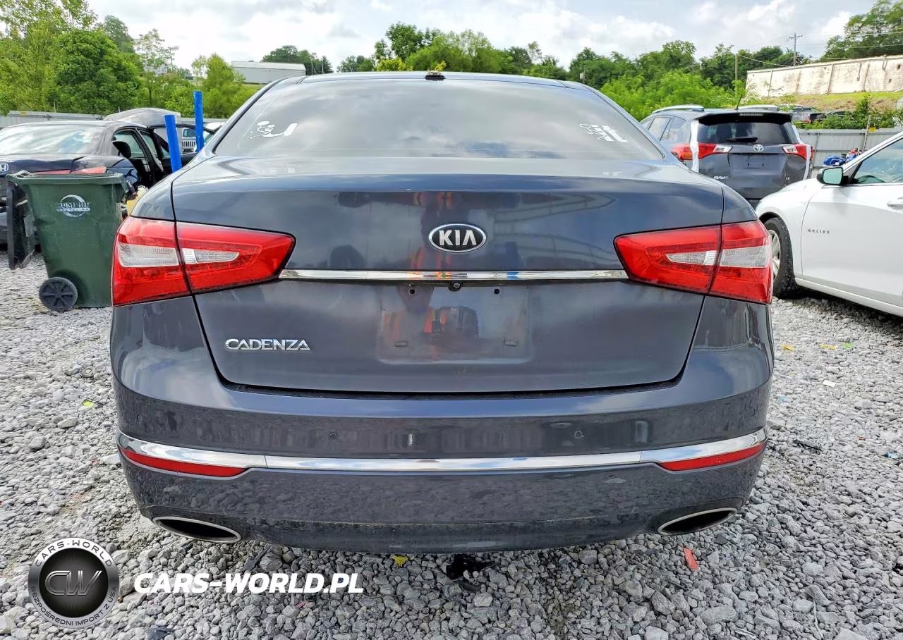 2015 Kia Cadenza Premium VIN:KNALN4D71F5173905 - 6