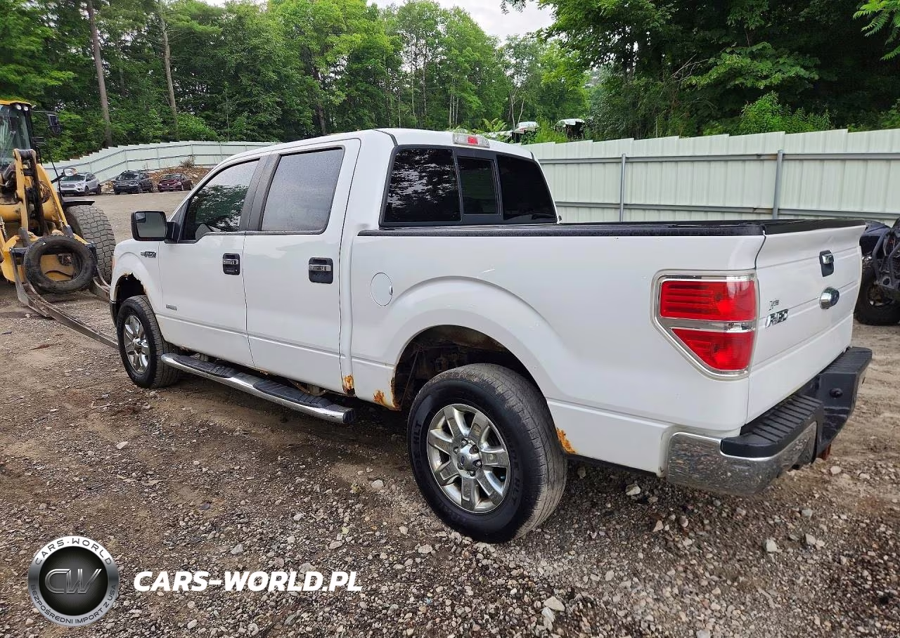 2013 Ford F150 Supercrew VIN:1FTFW1ET0DFD60695 - 2