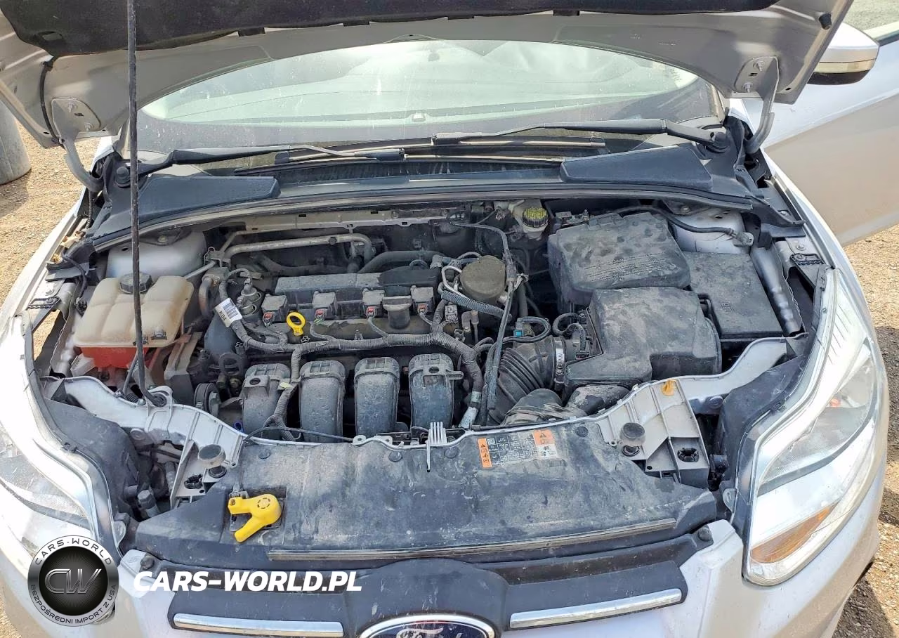 2014 Ford Focus Se VIN:1FADP3F25EL393870 - 11