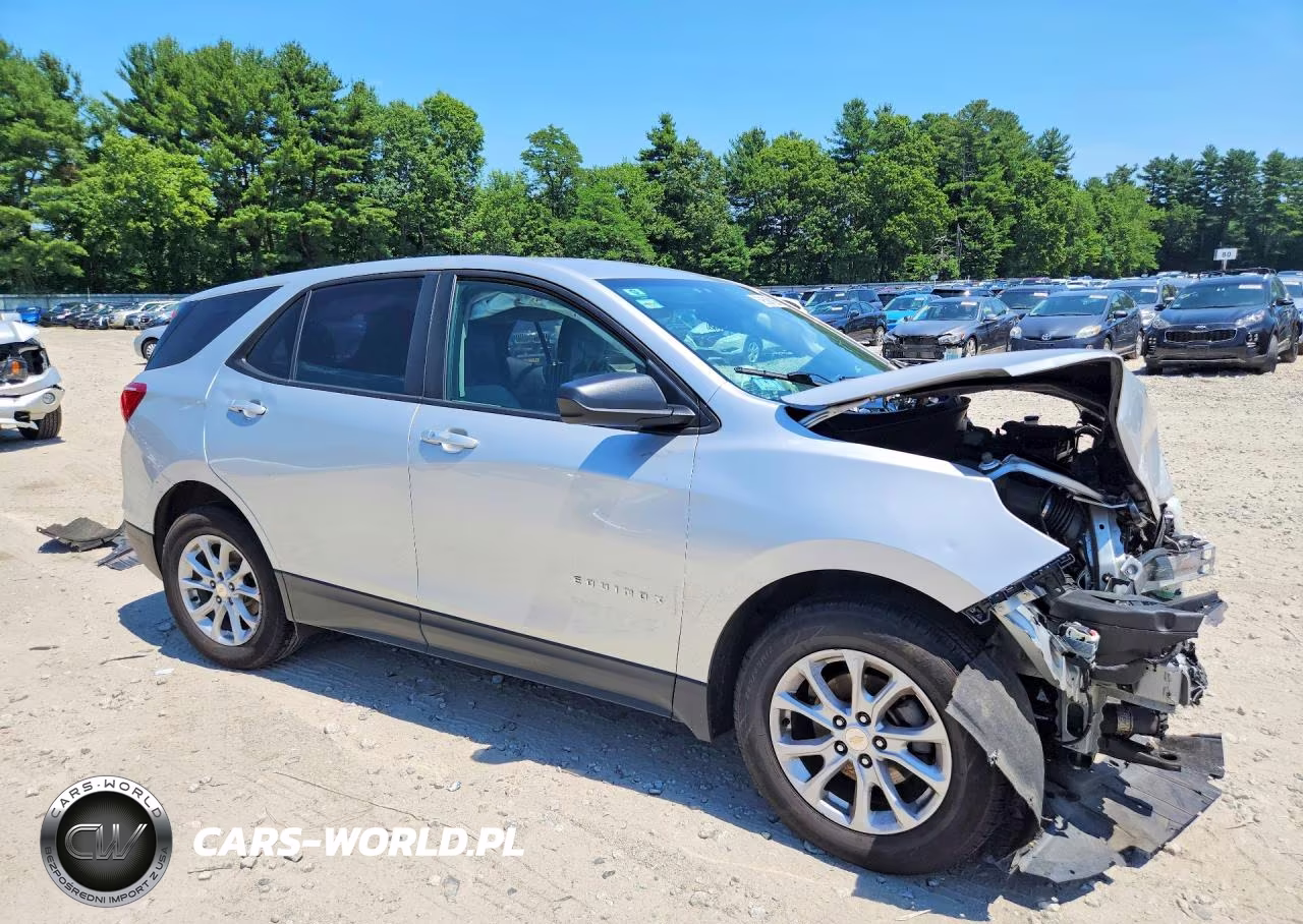 2020 Chevrolet Equinox Ls VIN:3GNAXHEV0LS695295 - 4