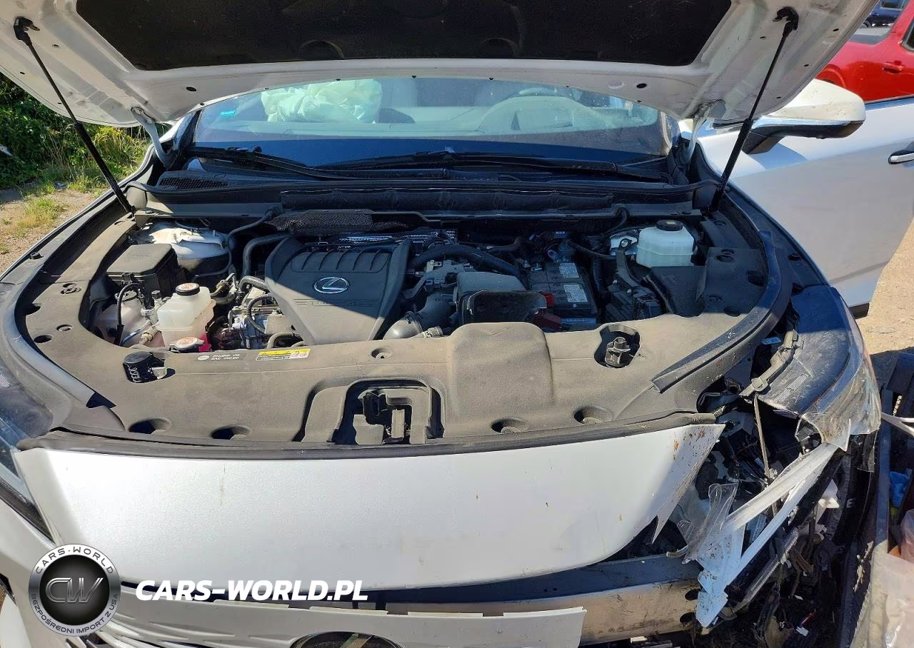 2023 Lexus Rx 350 Premium+ VIN:2T2BAMBA4PC010982 - 12