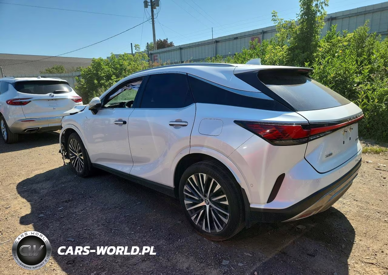 2023 Lexus Rx 350 Premium+ VIN:2T2BAMBA4PC010982 - 2