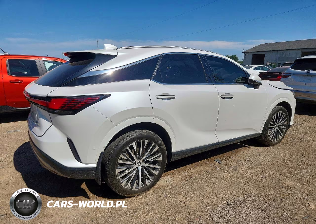 2023 Lexus Rx 350 Premium+ VIN:2T2BAMBA4PC010982 - 3