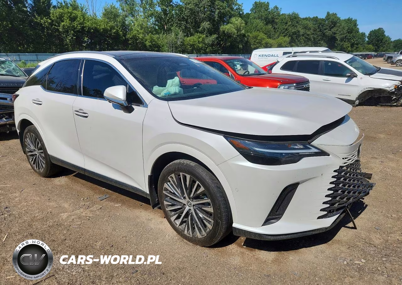 2023 Lexus Rx 350 Premium+ VIN:2T2BAMBA4PC010982 - 4
