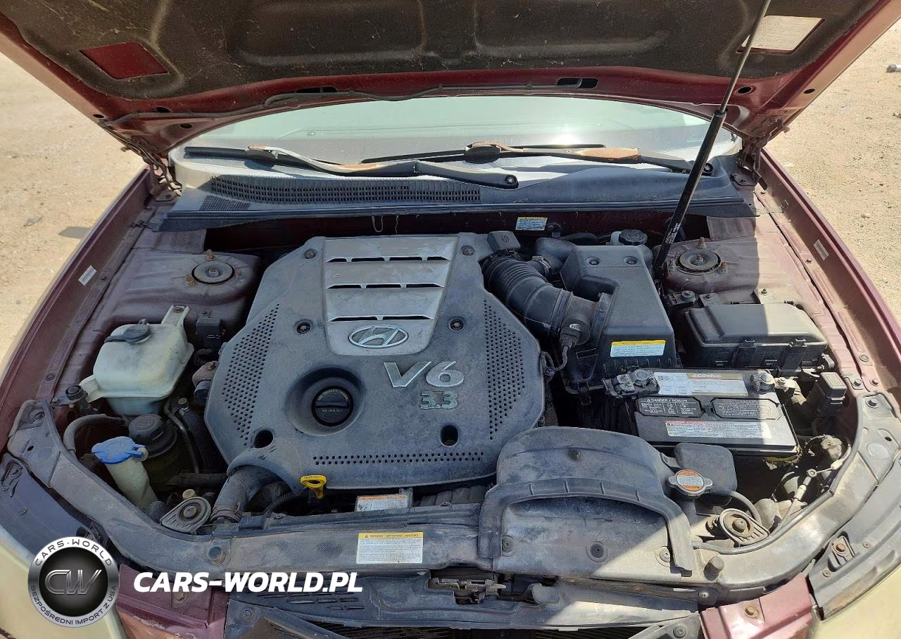 2007 Hyundai Sonata Se-Limited VIN:5NPEU46F17H242967 - 11