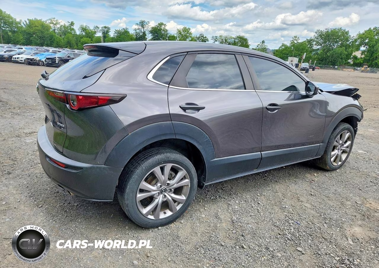 2020 Mazda Cx-30 Select VIN:3MVDMBCL8LM135878 - 3