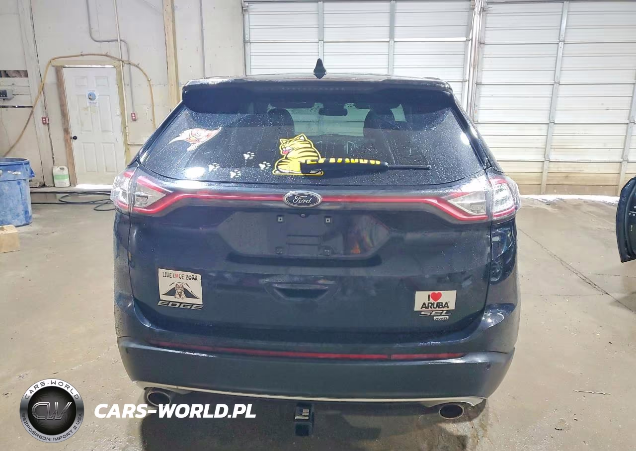 2016 Ford Edge Sel VIN:2FMPK4J83GBC64905 - 6