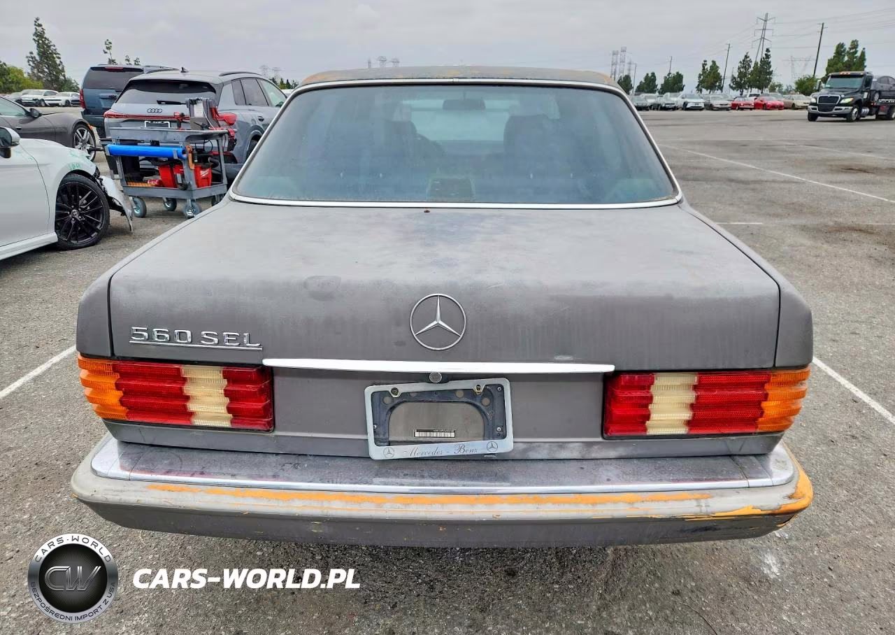 1991 Mercedes-Benz 560 Sel VIN:WDBCA39E5MA557687 - 6