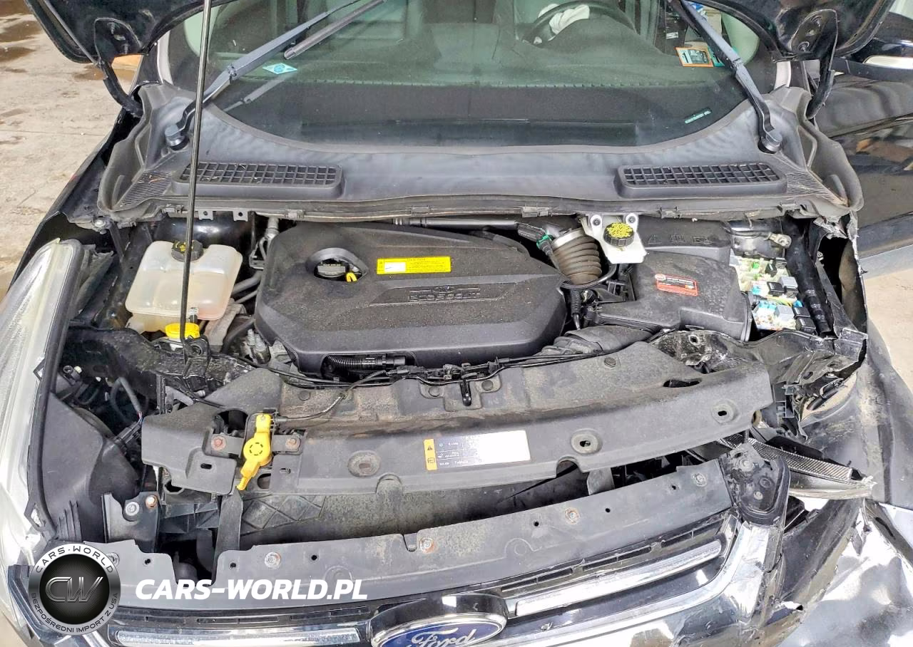 2016 Ford Escape Titanium VIN:1FMCU9JX1GUB93081 - 12