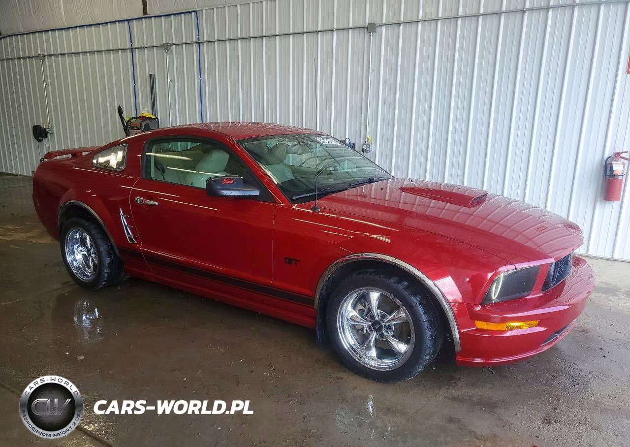 2008 Ford Mustang Gt VIN:1ZVHT82H885138926 - 4