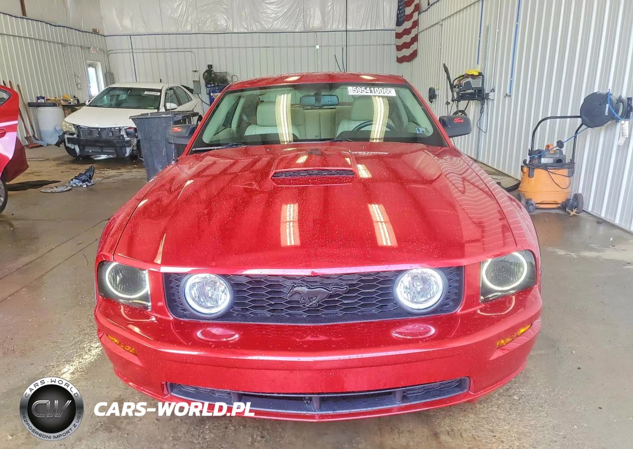 2008 Ford Mustang Gt VIN:1ZVHT82H885138926 - 5