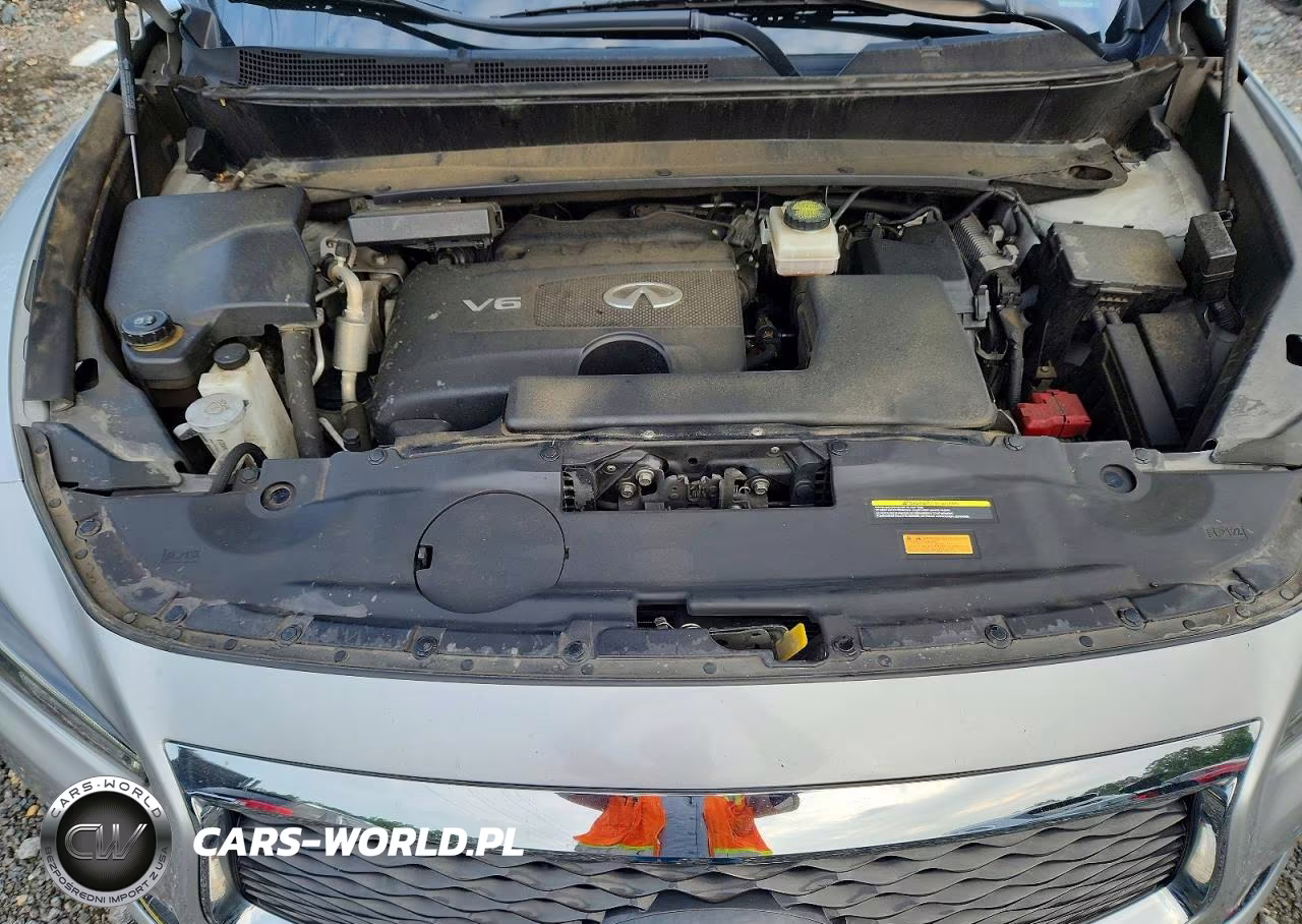 2020 Infiniti Qx60 Pure VIN:5N1DL0MMXLC527273 - 12