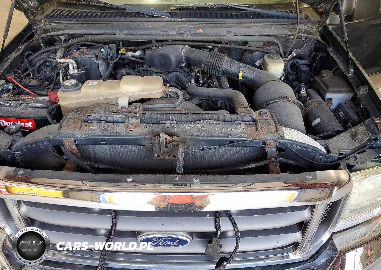 2004 Ford F250 Super Duty VIN:1FTNX21L94EB19731 - 12